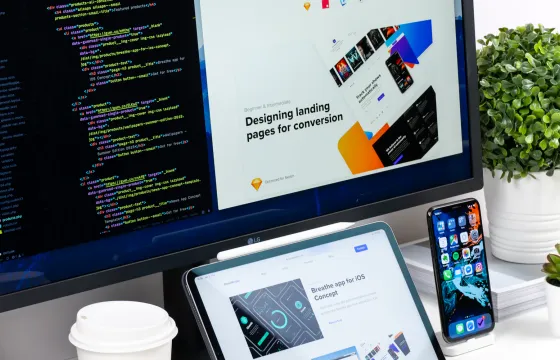 WEB DESIGN
