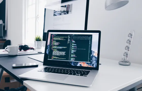 WEB DEVELOPMENT